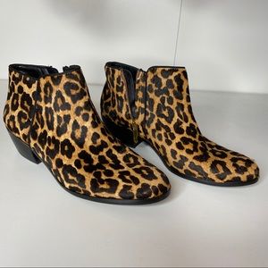 Sam Edelman Petty Bootie in Leopard Calf Hair